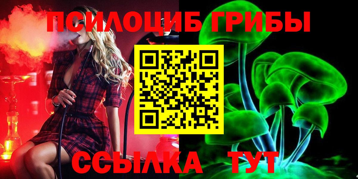 Черемхово  Галлюциногенные грибы Psilocybine cubensis  Вход с VPN 